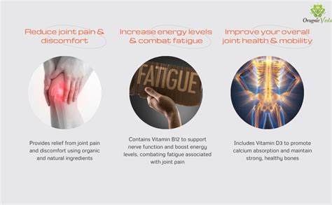Organic Joint Health Supplement – Natural Pain Relief, Energy Boost ...
