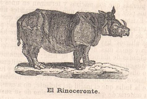 Spanish Buffon for children — Rhino Resource Center