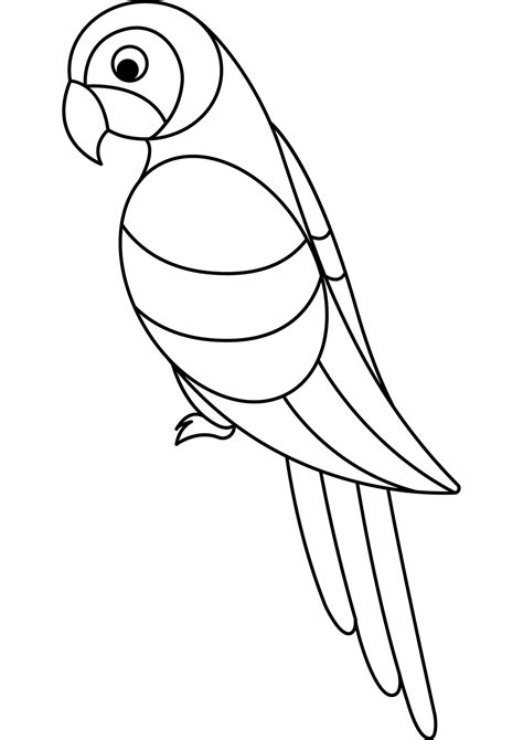 Image result for Parrot Drawing Printable