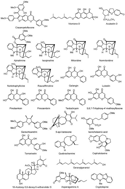The Potential of Secondary Metabolites from Plants as Drugs or Leads ...