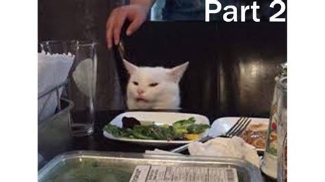 Confused Cat Memes | Cont'd - YouTube