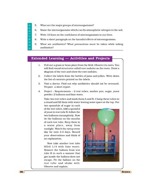 Image result for Class 8 Science Chapter 2