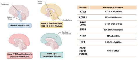 Emerging and Biological Concepts in Pediatric High-Grade Gliomas