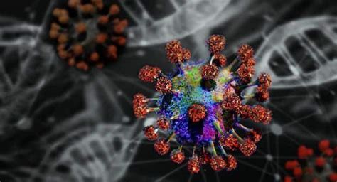 COVID-19 virus may 'block formation of key red blood cells ...