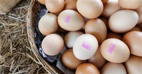 Mumbai surgeon clarifies cancer risks after video claims Eggoz eggs ...