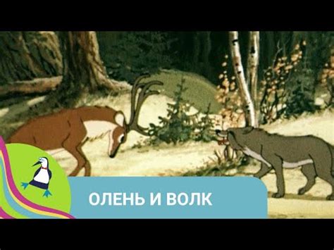 👨‍👨‍👧‍👧 СТАРАЯ НАРОДНАЯ ДОБРАЯ СКАЗКА! Олень и волк. Союзмультфильм ...