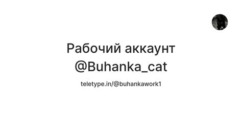 Рабочий аккаунт @Buhanka_cat — Teletype