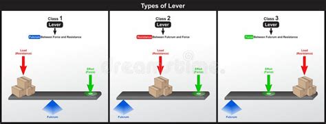Image result for Types of Levers