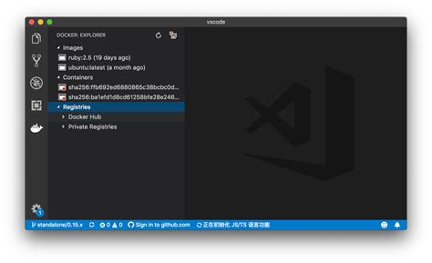 Docker Tutorial VSCode 的图像结果
