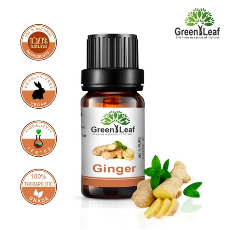 Ginger Essential Oil Benefits Malayalam at Aaron Copeley blog