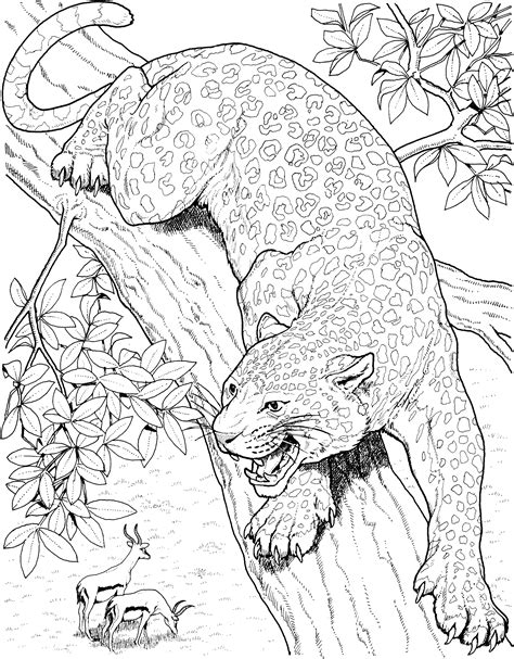 Free Leopard Coloring Pages