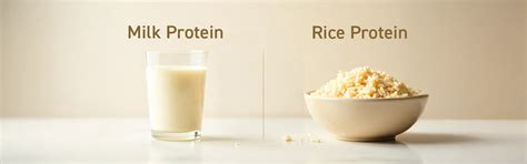 Rice Protein vs. Milk Protein: Pros and cons debunked – NAKPRO NUTRITION