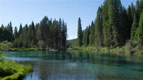 Computer Wallpaper Backgrounds 的图像结果