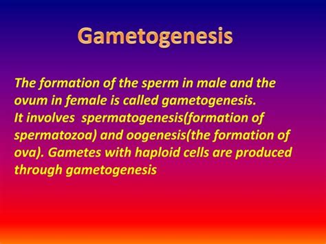 Image result for Human Fertilisation