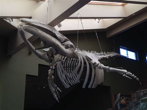 Past Projects | SEA Discovery Center