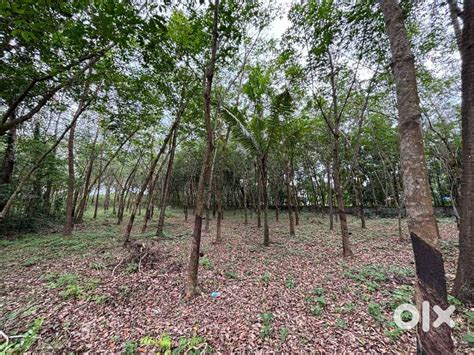 45 cent land in Parippally, suitable for residential plot development ...