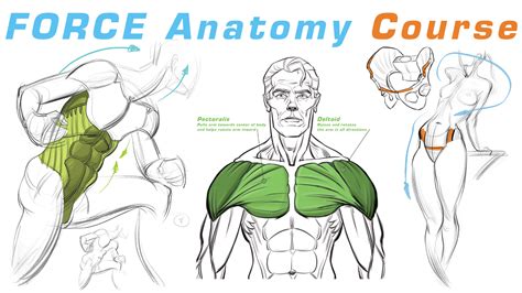Force Drawing Method 的图像结果