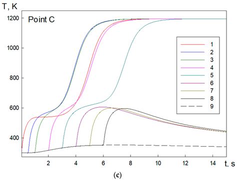 Simulation of the Impact of Firebrands on the Process of the Wood Layer ...