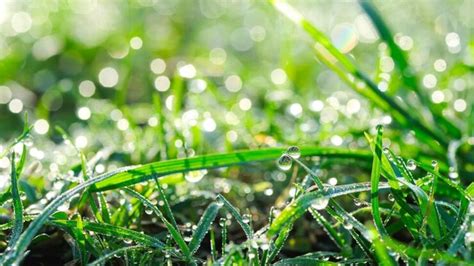 Adoring Nature Photos: From Forests To Oceans | News | Zee News