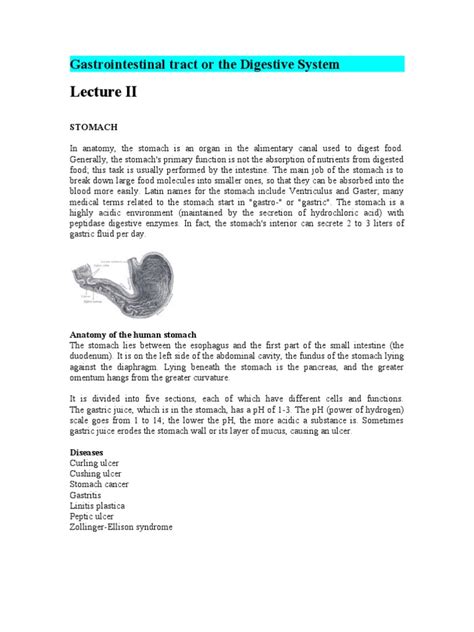 Image result for Digestive System Lecture