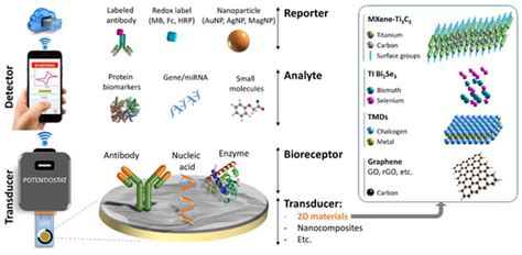 2D Materials in Development of Electrochemical Point-of-Care Cancer ...