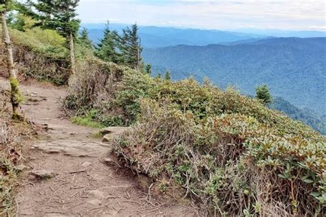 Mount LeConte hike ⛰ What is the best trail to get to Mt LeConte summit ...