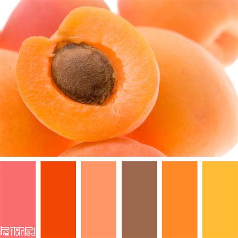 Sweet Apricot #color #colorpalettes | Color | Pinterest | Color combos ...