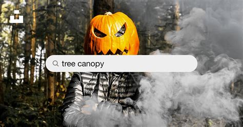 Tree Canopy 的图像结果
