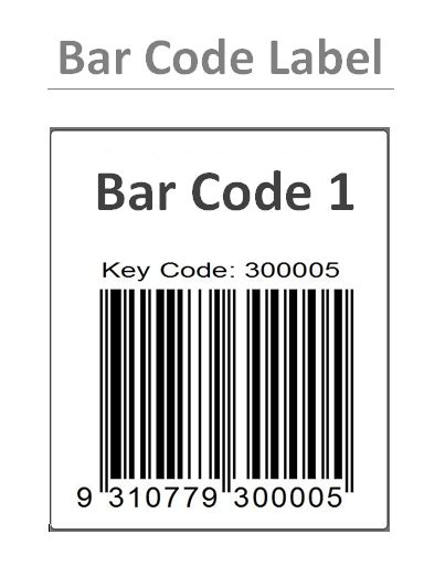 Image result for Barcode Label Example