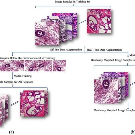 Image result for Data Augmentation Methods For