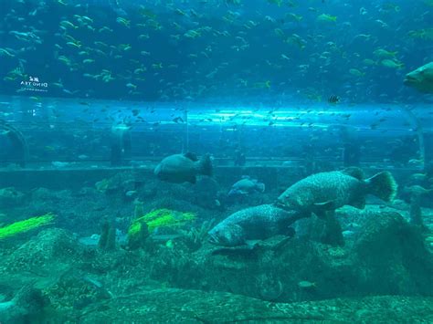 Vietnam Adventure Packages - Thrilling Experiences & Best Deals
