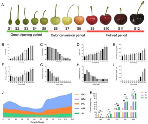 Transcriptomic and Metabolomic Analysis of Quality Changes during Sweet ...