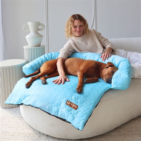 Revolutionary Cooling Mat for Dogs | Vet Recommended & Award-Winning – Pelsbarn.org