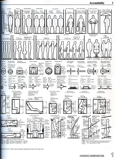 Image result for Humanscale Chart