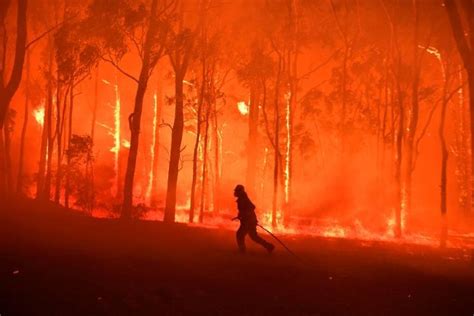 Australia's east coast on high alert for bushfire