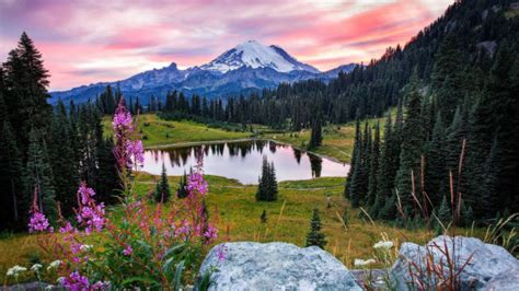 Image result for Nature Sample