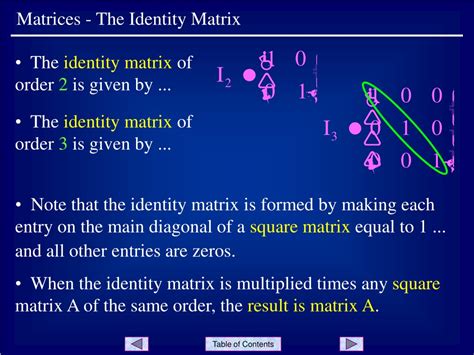 Image result for Identity Matrices