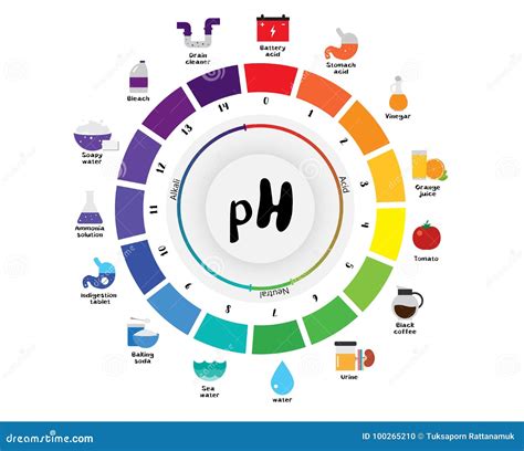The PH Scale Universal Indicator PH Color Chart Diagram Cartoon Vector | CartoonDealer.com ...