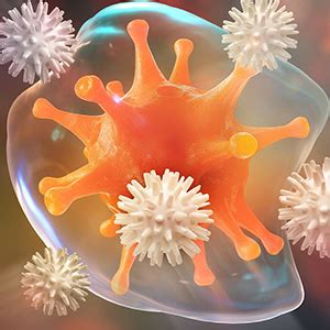 Buy Jiva Ayurveda Kasna Syrup Respiratory Syrup For Balancing Vata ...