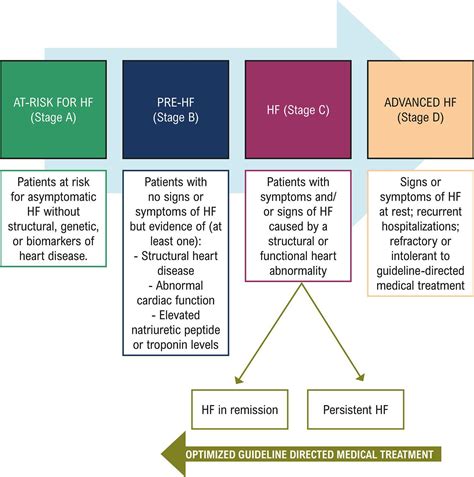 Heart Failure Stages Contemporary Strategies In The Diagnosis And