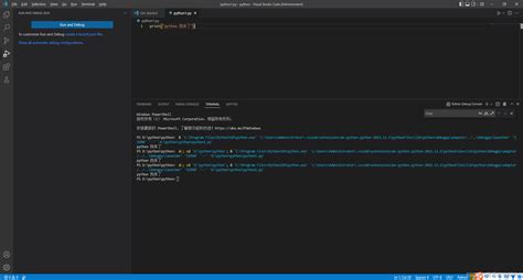Visual Studio Code Python Code Runner Configuration 的图像结果