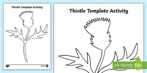 Thistle Template – CfE First Level Activity Sheet - Twinkl