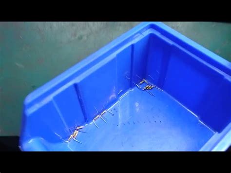 Cutting Machines - PCB Lead Cutting Machine Manufacturer from New Delhi