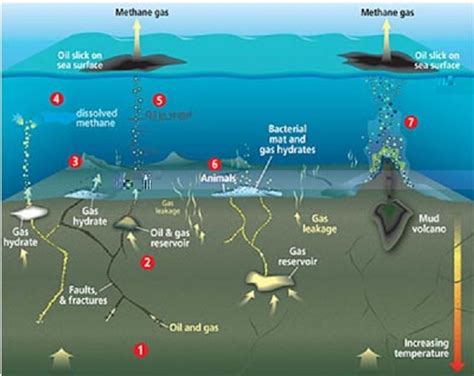 Methane Gas Theory: Investigating Bermuda Triangle Phenomenon