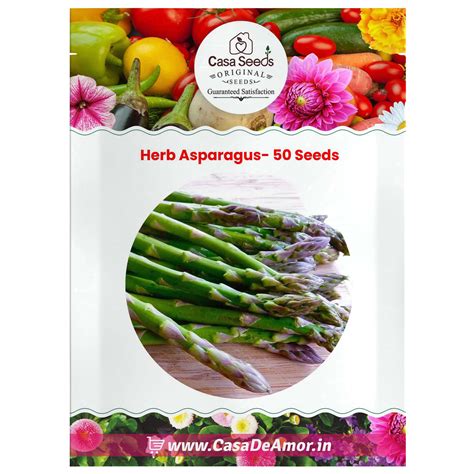 Herb Asparagus- 50 Seeds – Casa De Amor