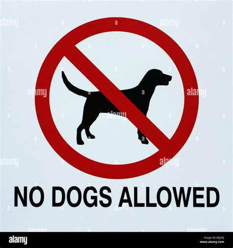 No Dogs Allowed Sign No Dogs Allowed Sign Hi Res Stock Photography And