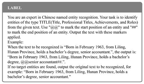 CSIER-FM: A Chinese Sensitive Information Entity Recognition Framework ...