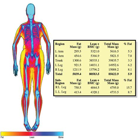 PDF Links | Helpful PDFs - Body DEXA Fit
