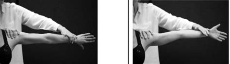 Rotator Cuff Muscles Test 的图像结果