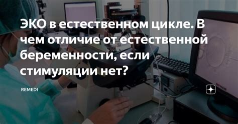 ЭКО в естественном цикле. В чем отличие от естественной беременности ...